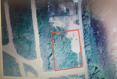 Teren Construcții intravilan de 4000 mp, în Vișan - 1