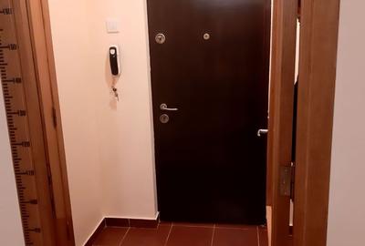 Garsonieră semidecomandată, mobilată în Theodor Pallady - 9