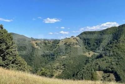 Teren de 5185 mp, în Sebeș - 1