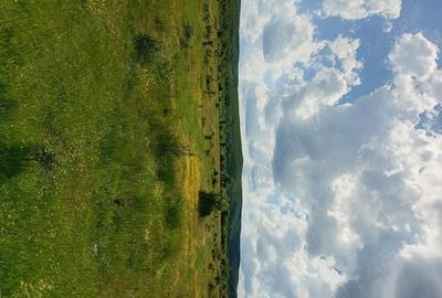 Teren de 1500 mp, în Merișani - 8