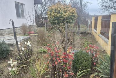 Casa cu 2 camere, 65 mp, teren 2910 mp, in Viile Satu Mare - 4