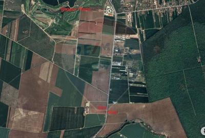 Spațiu comercial, în Săftica - 3