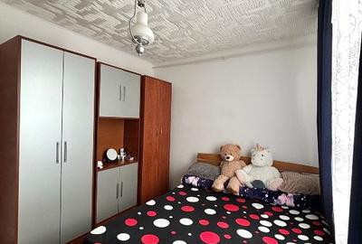 Vâna apartament 2 camere situat lângă Grădina Botanică - 3
