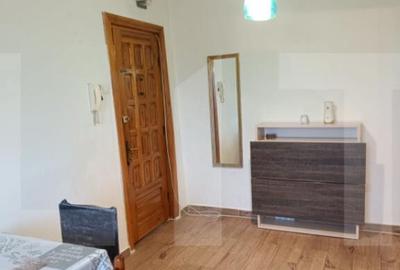 Apartament cu 2 camere semidecomandat în Iosefin - 2