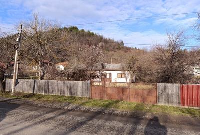 Casa 3 camere + Teren 2632mp Câmpuri, Vrancea - 3