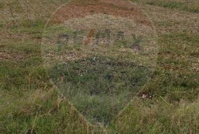 Teren agricol extravilan de 3000 mp, în Sântion - 2