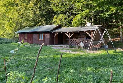 Teren de 850 mp, în Vlădeni - 2