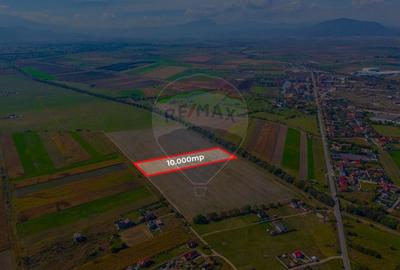 Teren 10,000mp Bod/Extravilan - 6