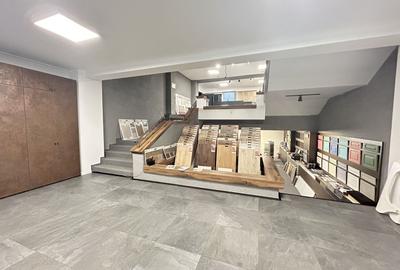 Imobil S+D+P+E+M - Centru - str. Siretului v-a-v de Regina Maria 678mp - 12