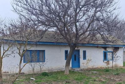 Casă cu 2 camere în Istria - 1