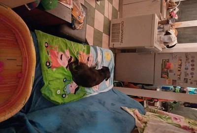 Casă cu 2 camere cu Teren 80 Mp în Rahova - 9