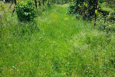 Casă cu 3 camere în Crivățu - 8