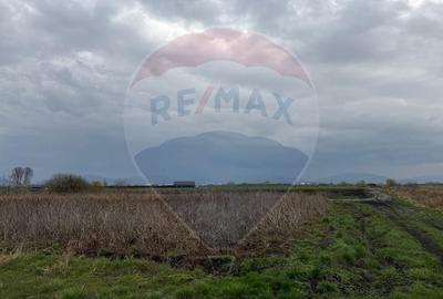 Teren agricol extravilan de 45000 mp, în Central - 1