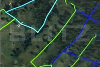Teren de 14200 mp, în Poiana Ilvei