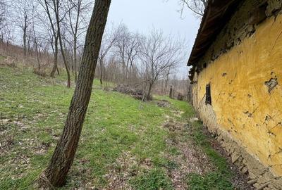 Teren Construcții intravilan de 2038 mp, în Ghercești - 9