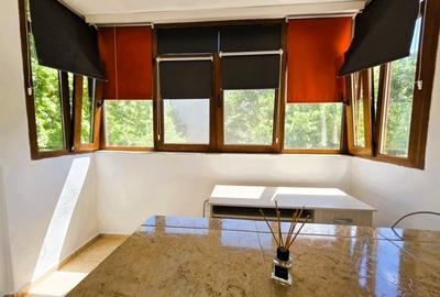 Apartament cu 2 camere semidecomandat în Tudor Vladimirescu - 9