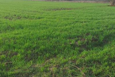 Spațiu comercial, în Cordău - 3