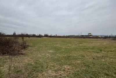 Teren în Lăpuș - 3