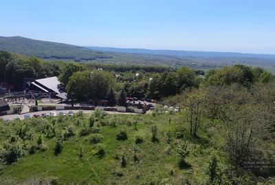 Teren de Vanzare – 850 mp | Petrarie – Burnova | Zona Verde, Investitie - 4