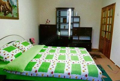 Inchiriere garsoniera zona Dristor - 3