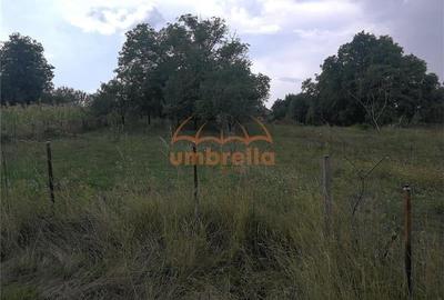 De vanzare teren 1.800/? intrav. in Deus- Chinteni ! - 3