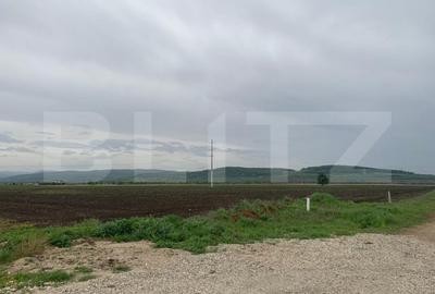 Teren intravilan, 6759 cu PUZ pentru hala, zona Alba-Sebes langa A1 - 2
