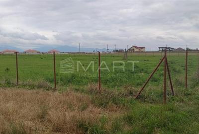 Teren  intravilan cu PUZ 30.000 mp Prejmer - 3