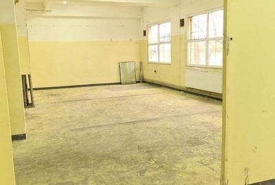 Drumul Intre Tarlale spatiu productie 400-1500 mp - 3