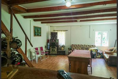 Casa de vacanta perfecta pe malul Cernei - 9