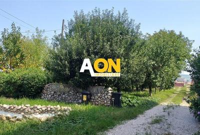 CASA 4 CAMERE, 2000 MP TEREN, ZONA KAUFLAND CASA 4 CAMERE, 2000 MP TEREN, ZONA KAUFLAND - 3