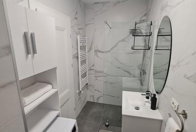 Apartament cu 2 camere în Șega - 20