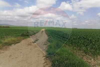 Teren Construcții intravilan de 10000 mp, în Est - 3