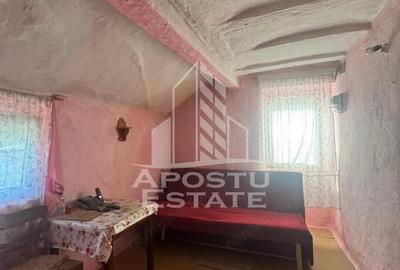 Casa cu teren de 1.600 mp in Checea langa primarie. - 2