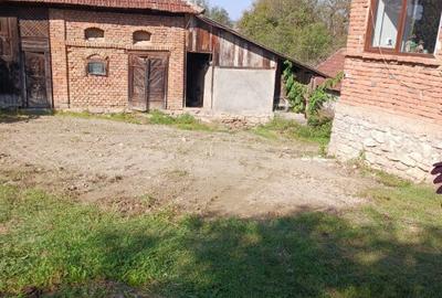 Casă cu 4 camere cu Teren 12000 Mp în Chelința - 6