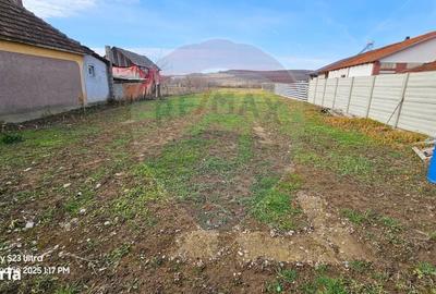 Spațiu comercial, în Ineu - 1