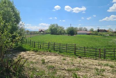 Teren Construcții intravilan de 2680 mp, în Lunca Calnicului
