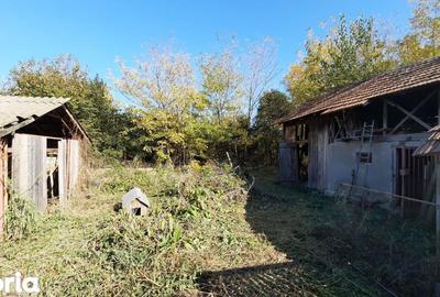 Casă cu 4 camere cu Teren 7720 Mp în Șirna - 6