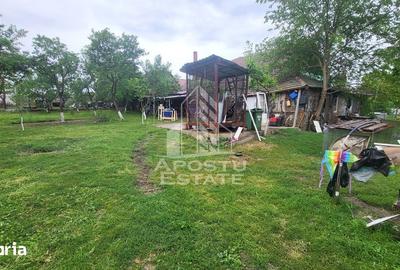 Casă cu 6 camere cu Teren 1017 Mp în Moșnița Nouă - 17