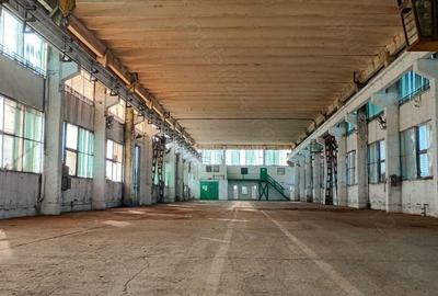 Hala Comerciala de Inchiriat Buzau - 1