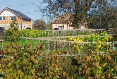 Casă cu 3 camere cu Teren 720 Mp în Simeria - 2