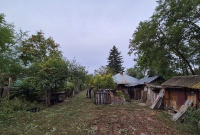 Casă cu teren 3.682 mp, sat Radu Vodă (com. Lupsanu, jud. Călărași) - 12