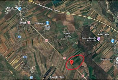 Teren agricol intravilan de 22000 mp, în Petrești - 7