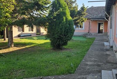 Propietate  km 4/5 .  1000 mp , din care 250 mp construcții - 5