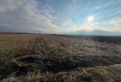 Teren agricol extravilan de 1250 mp, în Cristian - 5