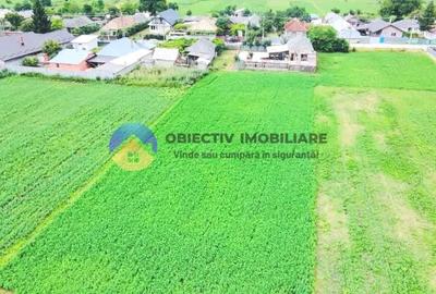 Teren de 1763 mp, în Central