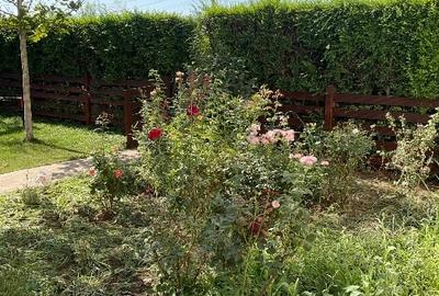 Duplex cu 4 camere cu Teren 600 Mp în Gulia - 8