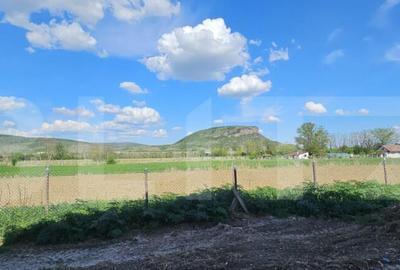 Ansamblu de 4 case in?iruite Aleea Parcului, Simeria - 2