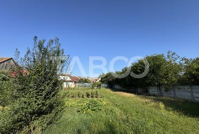 Teren intravilan 4783 mp - Oportunitate de investitie Turnisor Sibiu - 3