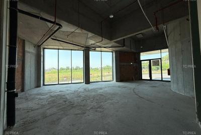 Spatiu comercial parter herestrau verdi - 1