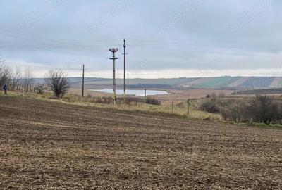 Teren de 23400 mp, în Central - 7